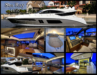 Sea Ray L650